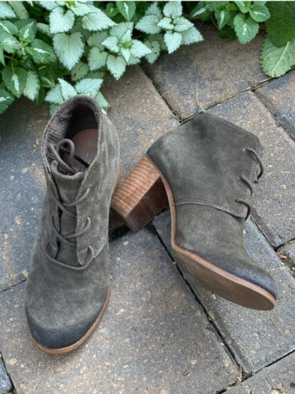 TOMS Taupe Suede Lace-Up Ankle Booties Sz 6.5  Summer Sale